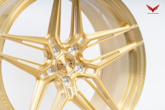 AG-05-2010-BRUSH_GOLD_3