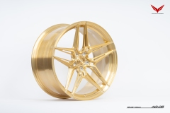 AG-05-2010-BRUSH_GOLD_4