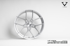 VF023-2010-HGS_BRUSH_1